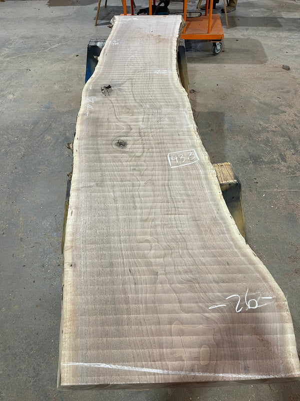 Black Walnut #BW980