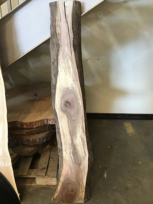 Black Walnut Slab #BW1903