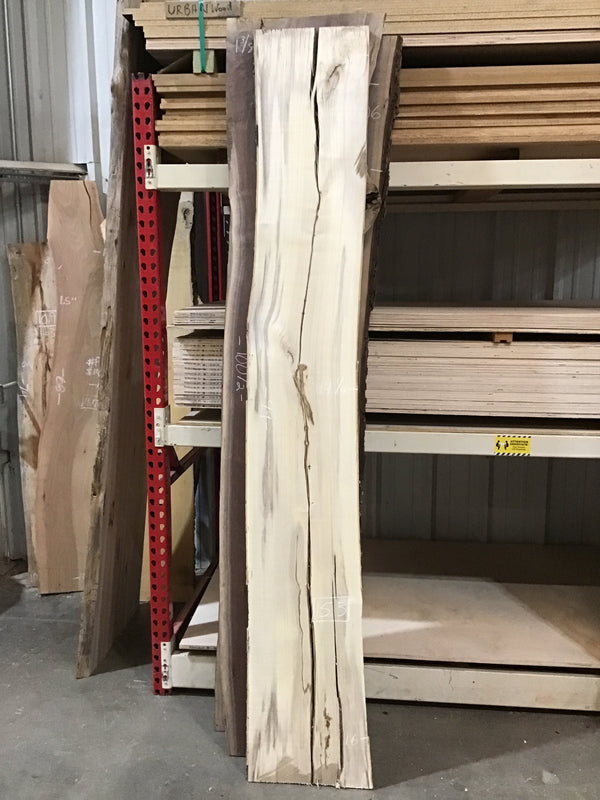 Hackberry #HB111