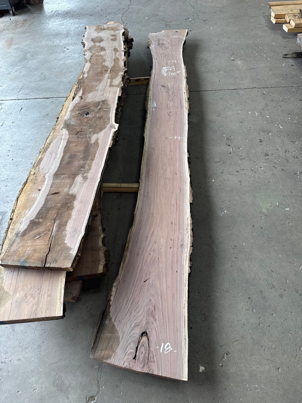 Black Walnut Live Edge Slab #BW1587 – 38 BF, 166" Long