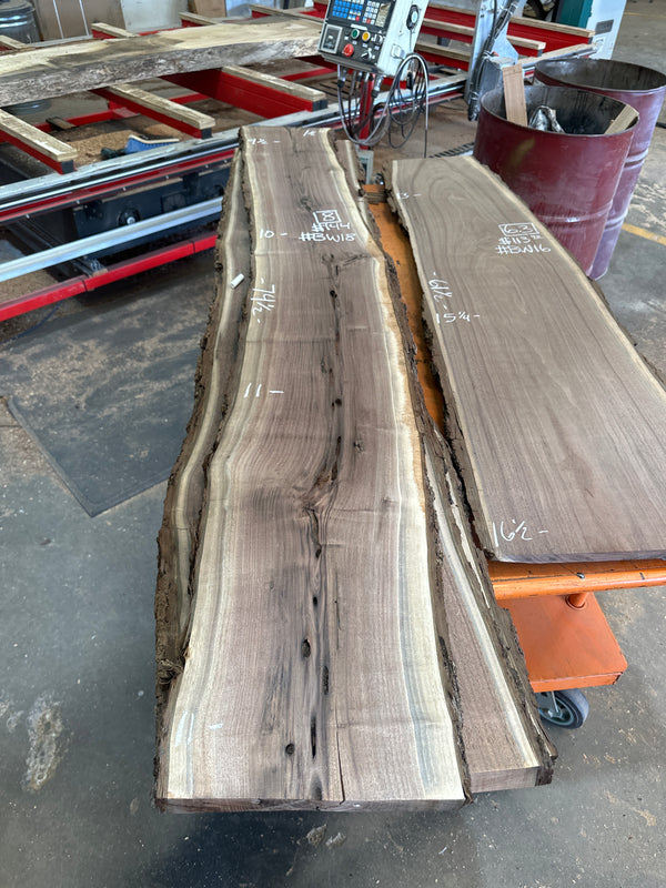 Black Walnut #BW18