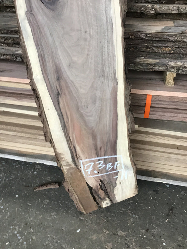 Black Walnut #BW15210 #CB