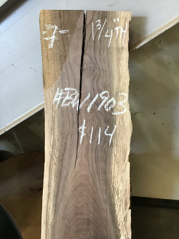 Black Walnut Slab #BW1903
