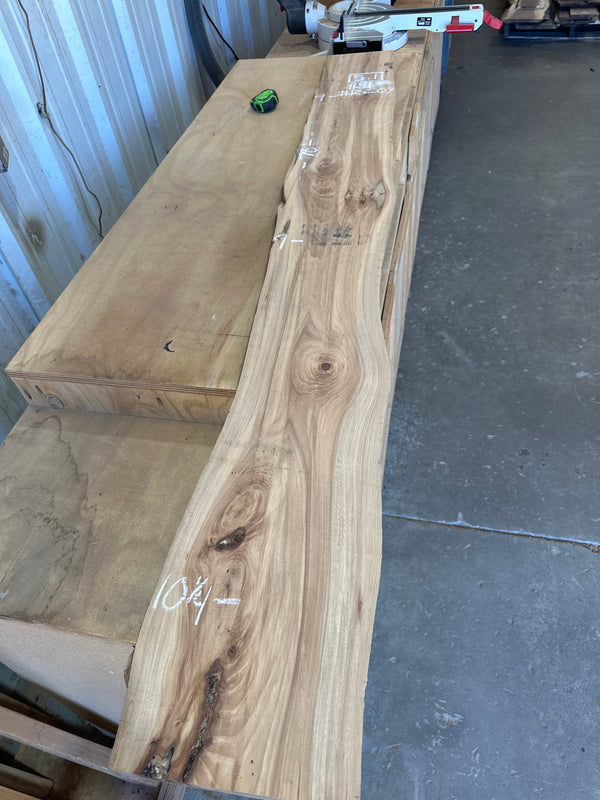 Rock Elm #RE03