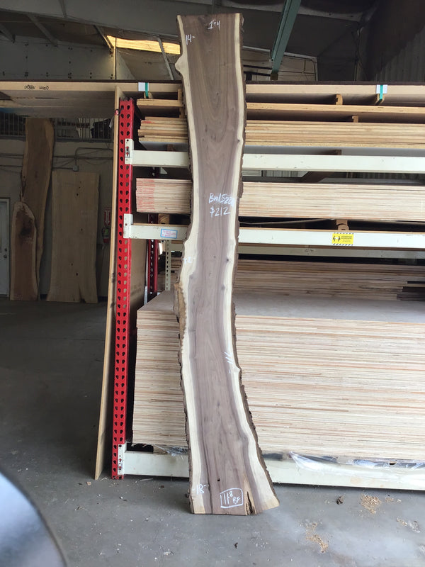 Black Walnut #BW15220