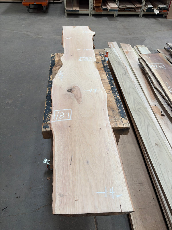 Pecan Hardwood Slab #PE10 – 18.7 BF, 101" Long