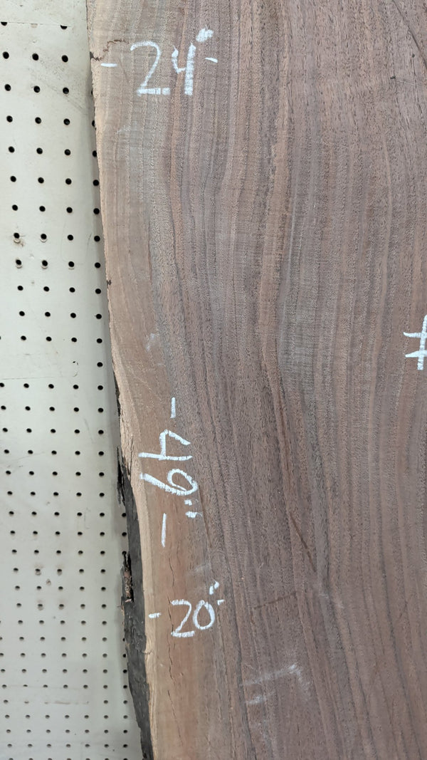 Black Walnut Live Edge Slab #BW17778, 14.5 BF, 49 in. Long