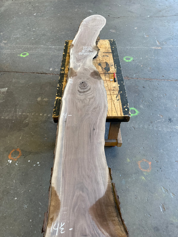 Black Walnut #BW1517