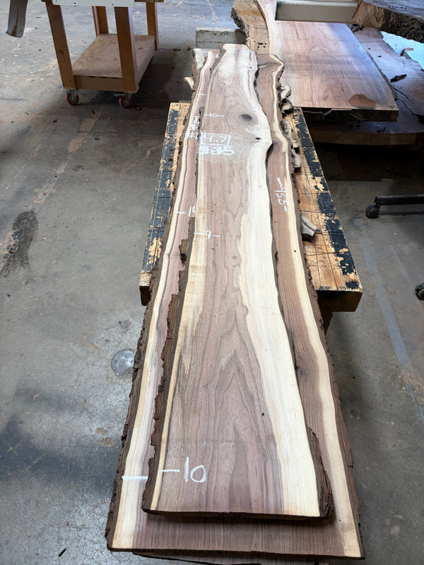Black Walnut #BW1526
