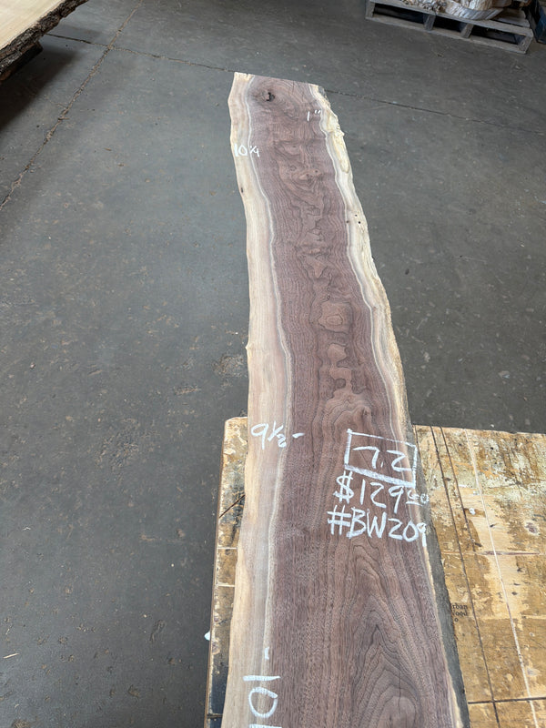 Black Walnut #BW209