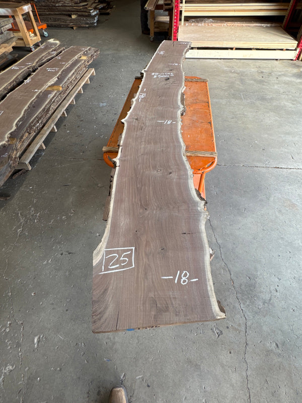 Black Walnut Live Edge Slab #BW1596 – 25 BF, 140" Long