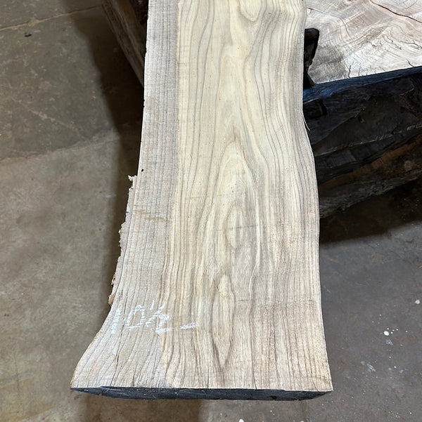 Hackberry #HB103