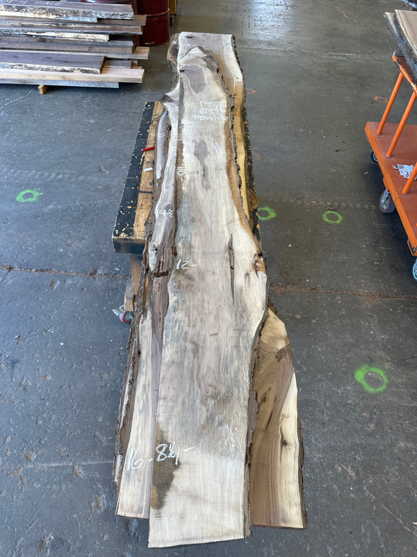 Black Walnut #BW1512