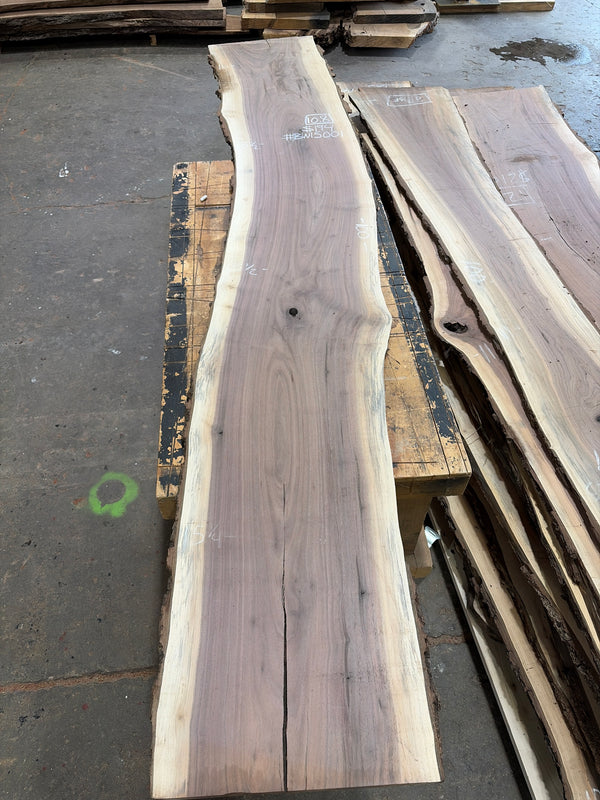 Black Walnut #BW15001