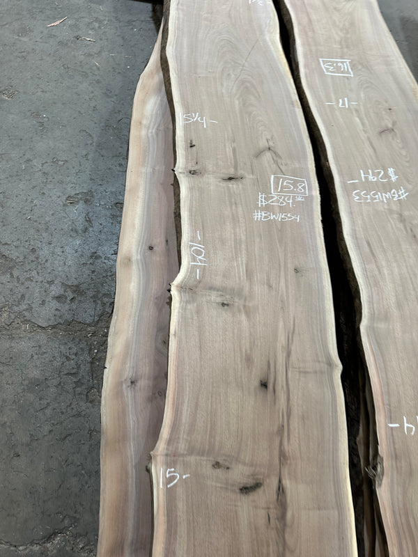 Black Walnut #BW1554