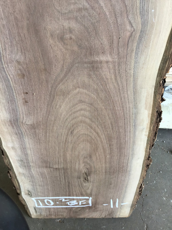 Black Walnut Slab #BW15216