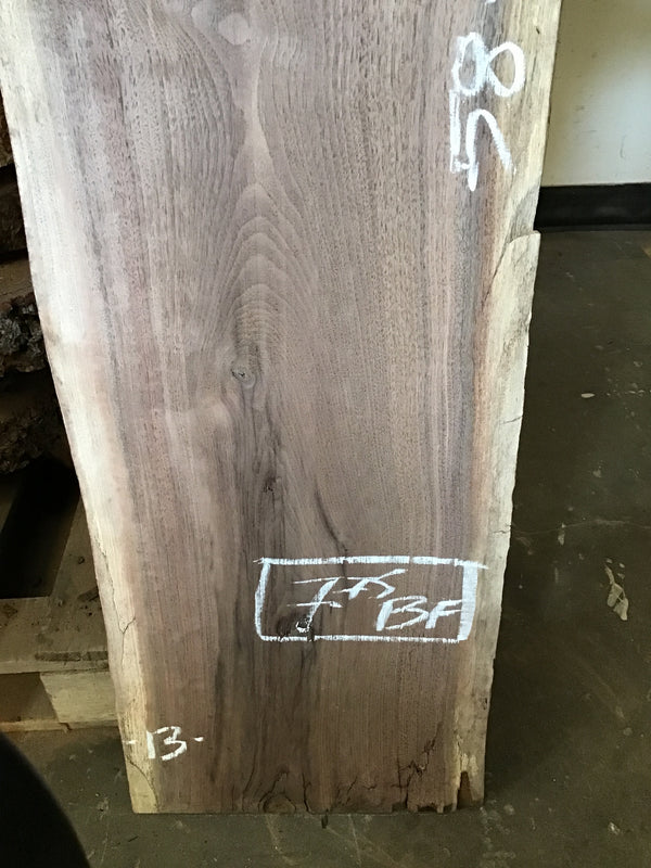 Black Walnut Slab #BW1905