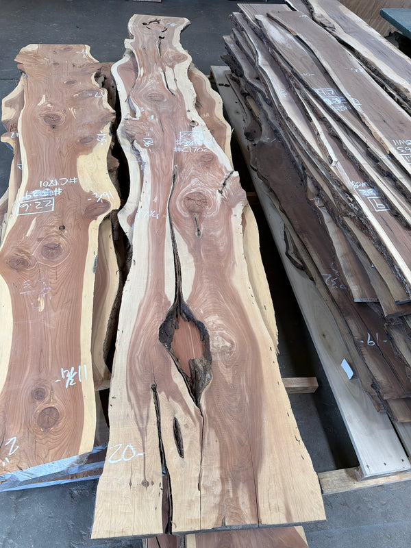 Cedar #C1702