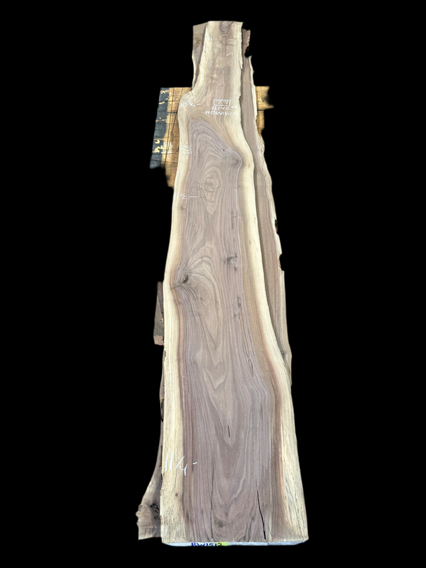 Black Walnut #BW1512