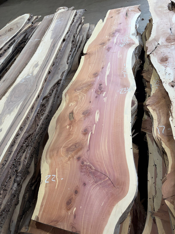 Cedar #C1703