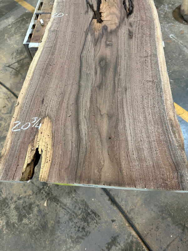 Black Walnut #BW15167