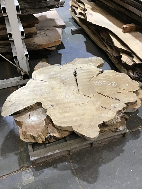 Red Elm #RE500