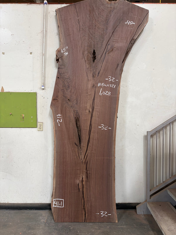 Black Walnut #BW1721