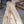 Load image into Gallery viewer, Red Elm #RE02
