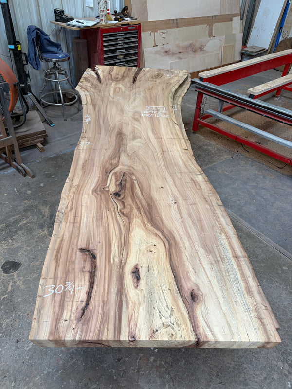 Red Elm #RE02
