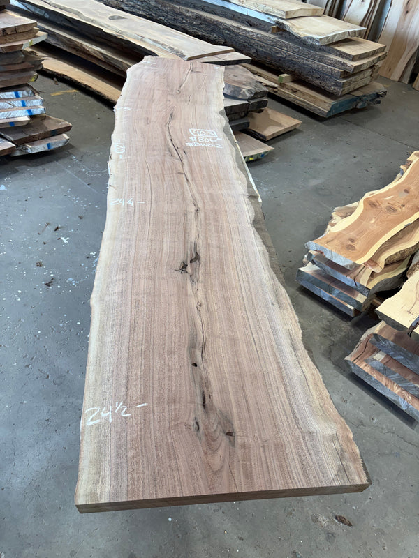 Black Walnut #BW012