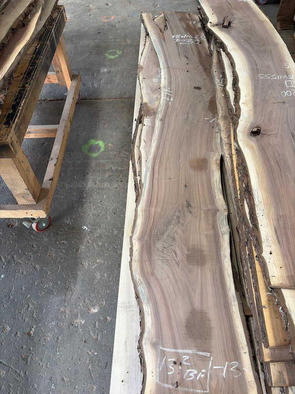 Black Walnut #BW15232