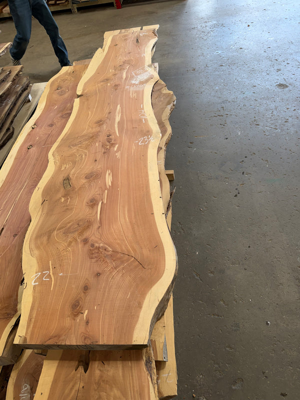 Cedar #C1709