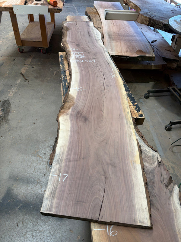 Black Walnut #BW1529