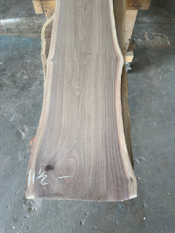 Black Walnut #BW1527