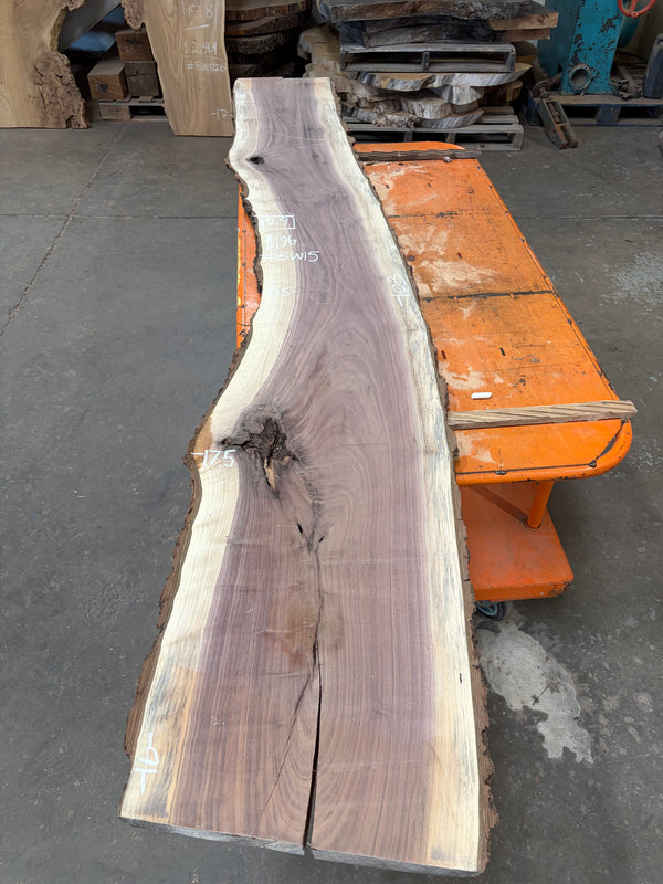 Black Walnut #BW15