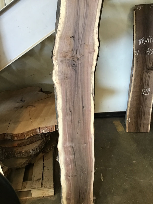 Black Walnut Slab #BW1902