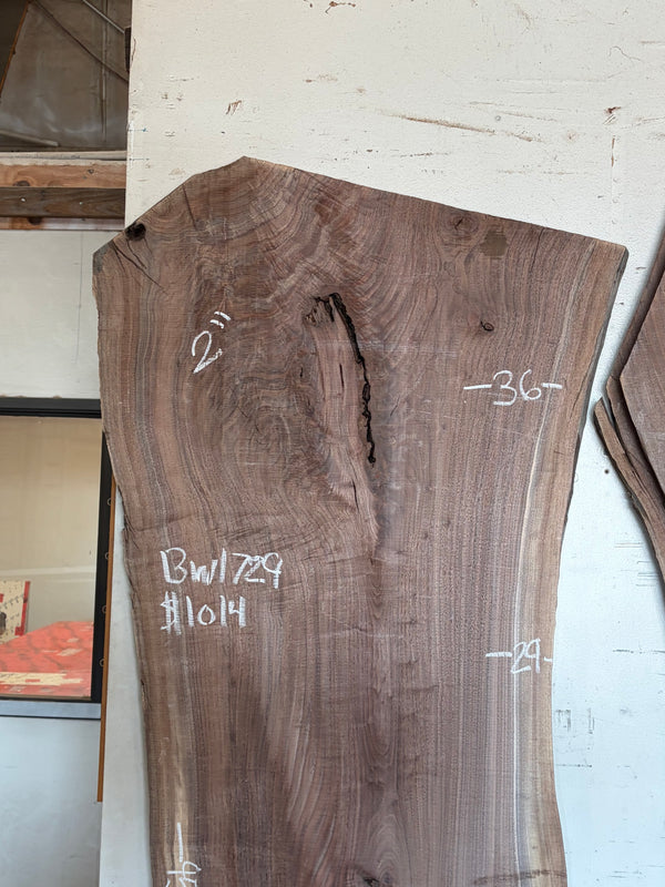 Black Walnut #BW1729