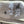 Load image into Gallery viewer, Black Walnut Slab #BW15203
