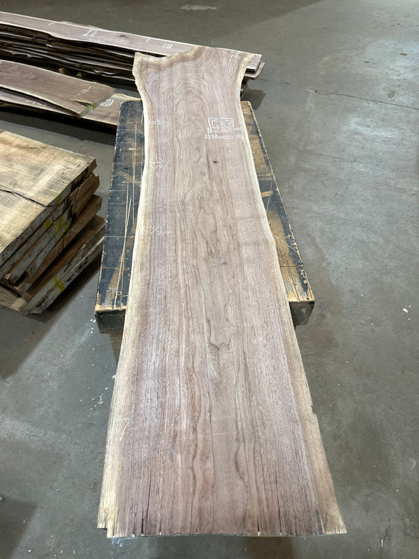 Black Walnut #BW1579