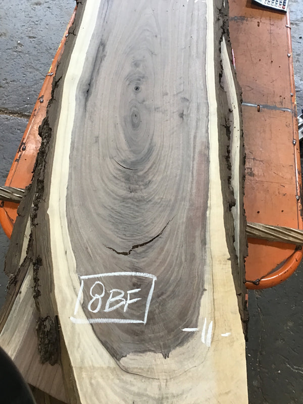 Black Walnut Slab #BW15208