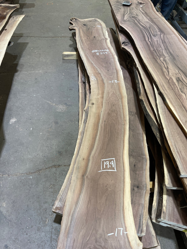 Black Walnut #BW15144