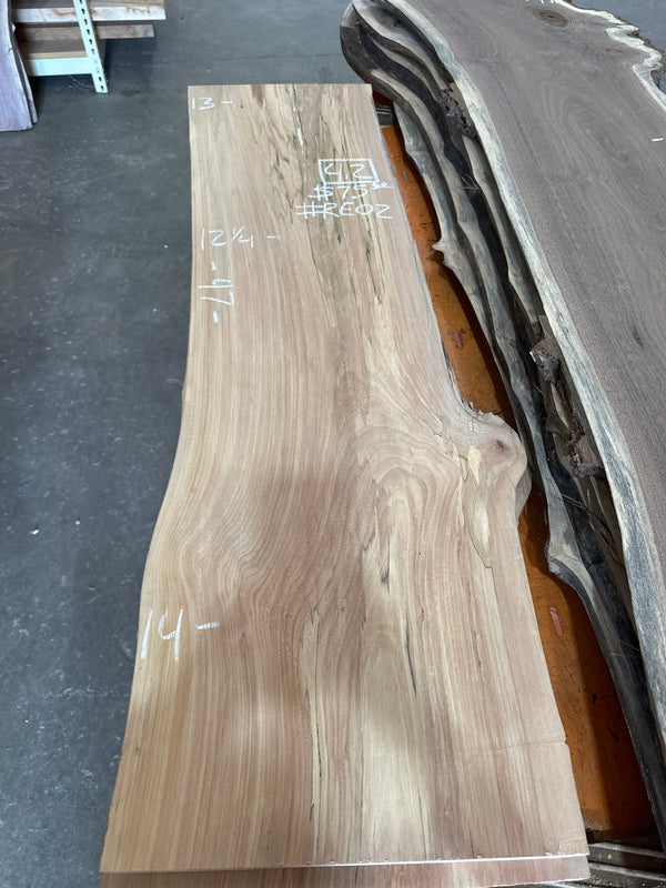 Red Elm #RE02