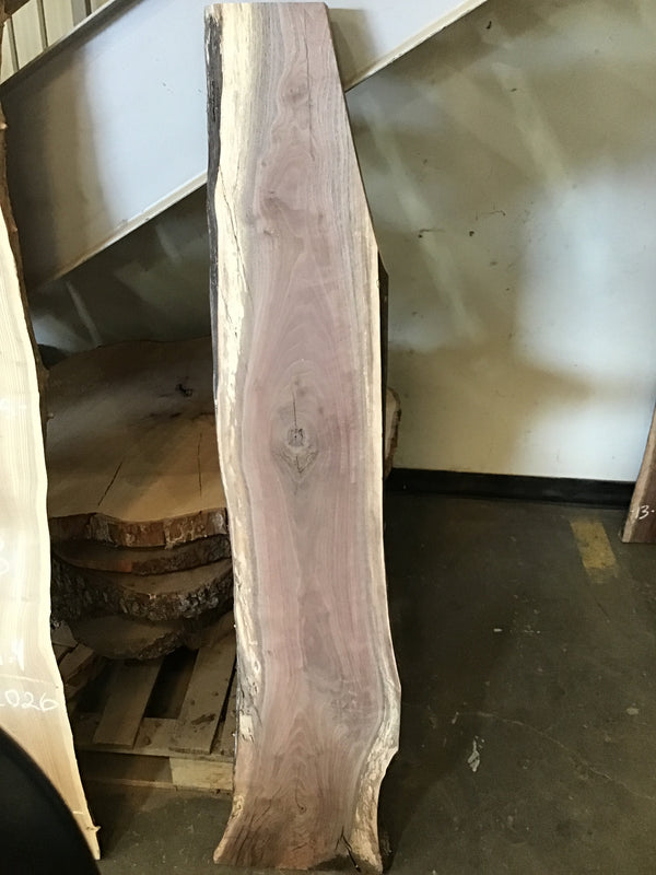 Black Walnut Slab #BW1904