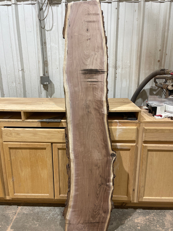 Black Walnut #BW1589