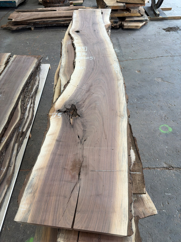 Black Walnut #BW151