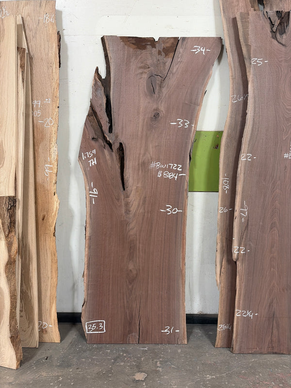 Black Walnut #BW1722