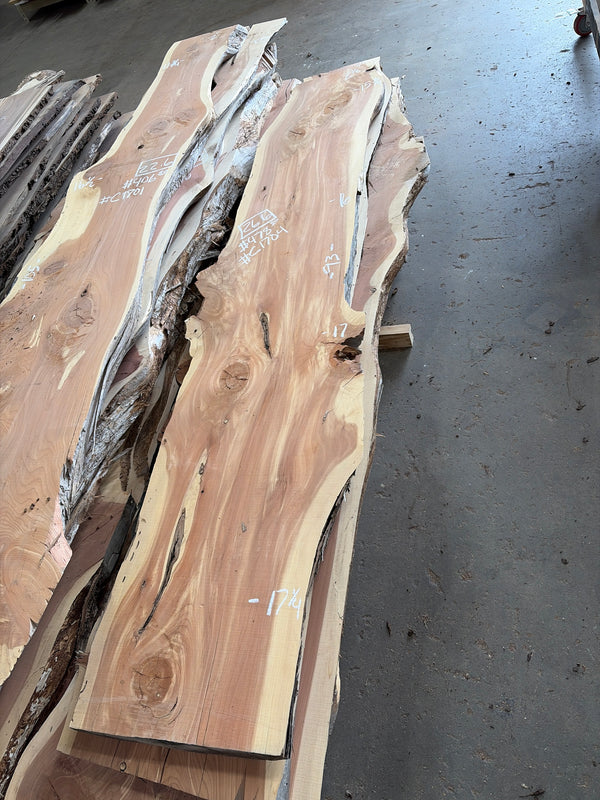Cedar #C1704