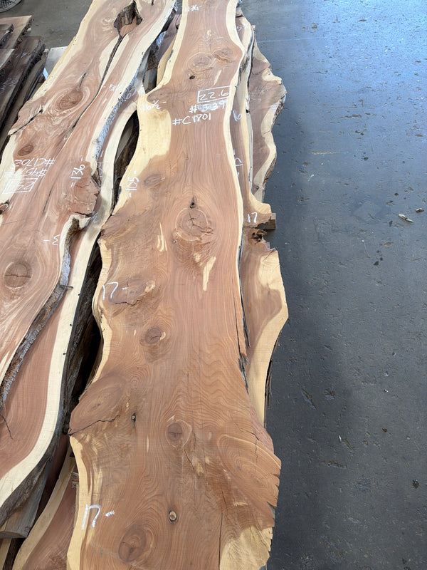Cedar #C1701