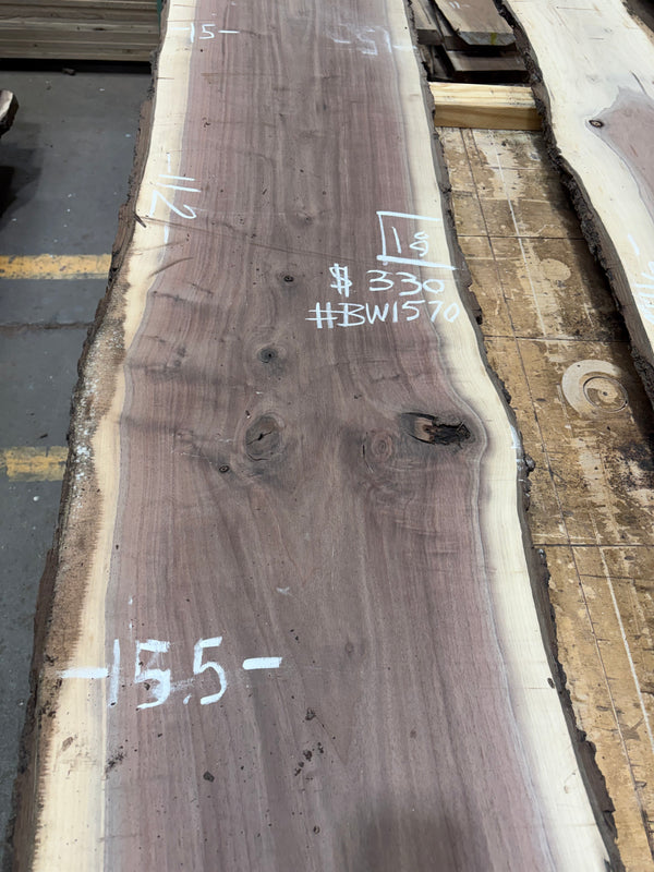 Black Walnut #BW1570