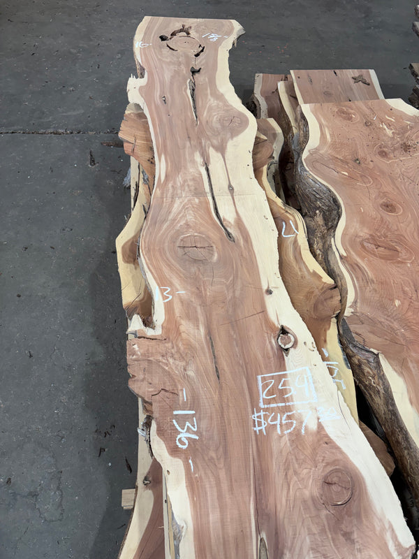 Cedar #C1702
